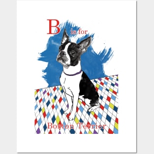 B is for Boston Terrier II Posters and Art